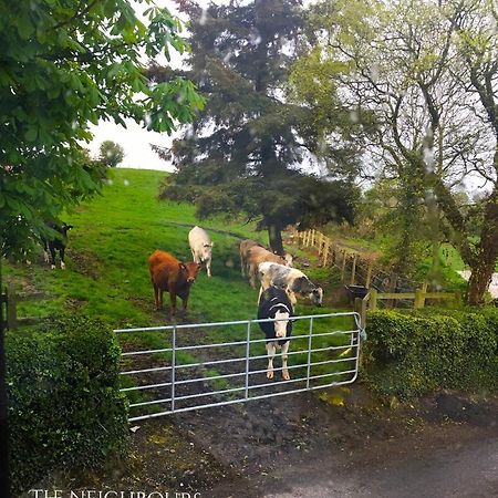 Cosy Stylish 1-Bed Apartment In South Armagh Cullyhanna エクステリア 写真