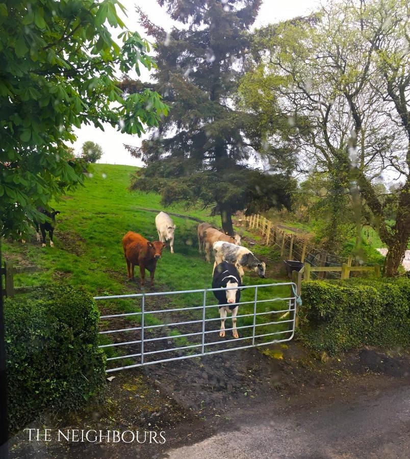 Cosy Stylish 1-Bed Apartment In South Armagh Cullyhanna エクステリア 写真